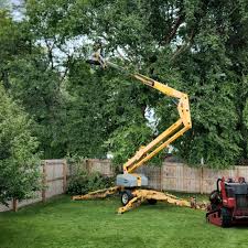 Best Tree Mulching  in Peach Lake, NY