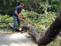 Best Weed Control  in Peach Lake, NY